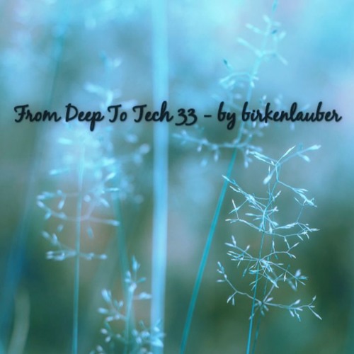 FROM DEEP TO TECH 33 - birkenlauber