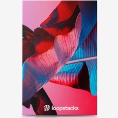 Loopstacks - Sunny Day Vol.2 (Drum Kit)