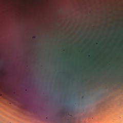 Get it Out of Your Head