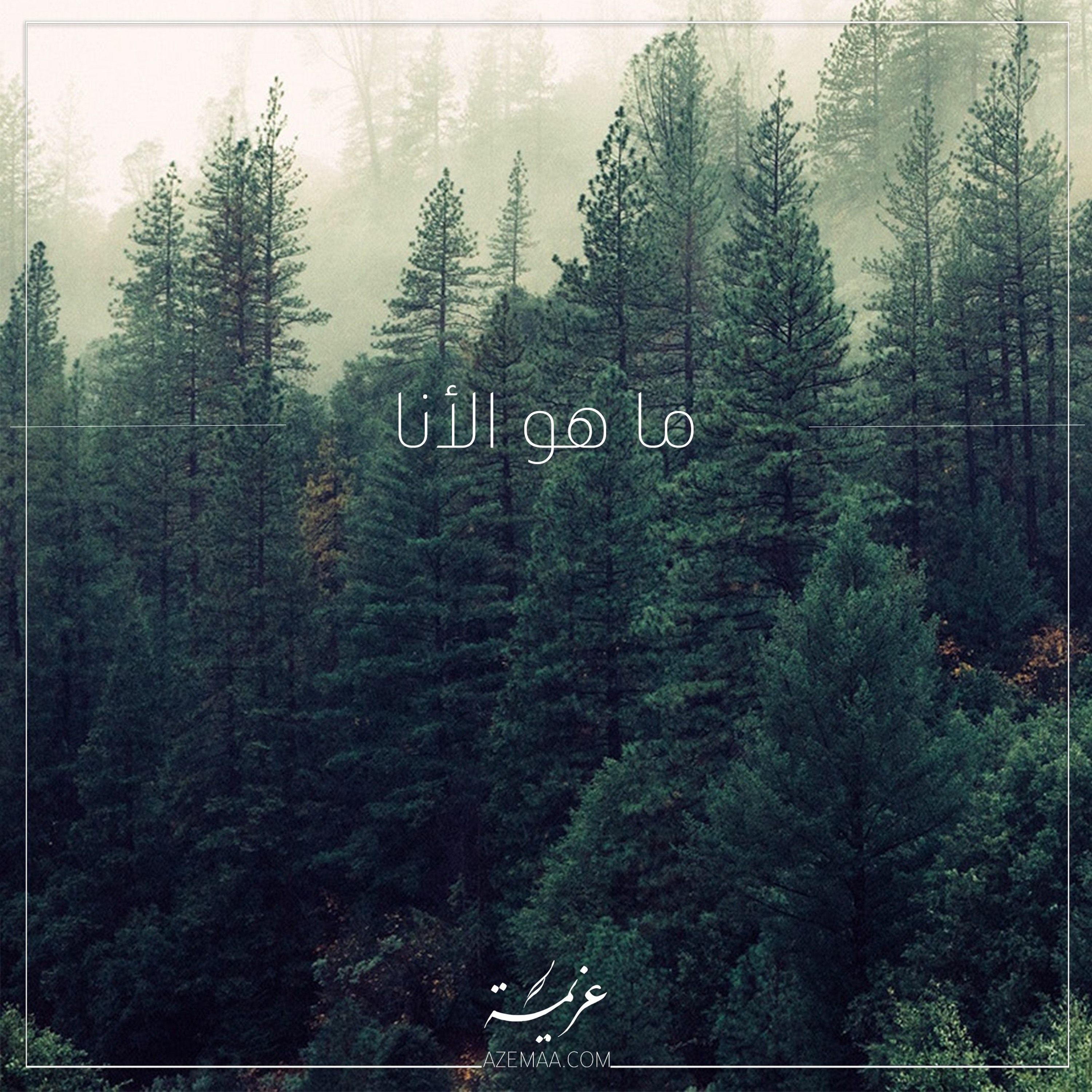 ما هو الأنا؟ | عزيمة