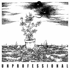 UNPROFESSIONAL - "Untitled" [FP014]