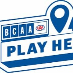 Selu Rodriguez Ft DrumBack - BCAA PLAY HE (Org Mix)