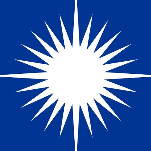 Myonenschauern