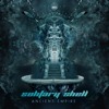 Solitary Shell - Ice Ritual (2020 mix) || Free download