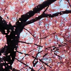 The tree of love