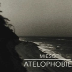 MIESO || Atelophobie