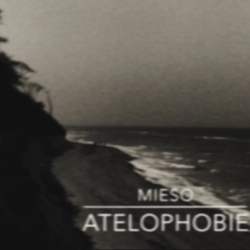 MIESO || Atelophobie