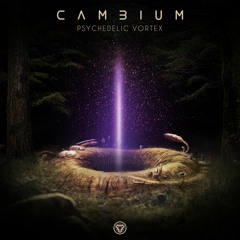 Spiritual Mode - Universe Inside You (Cambium Remix)
