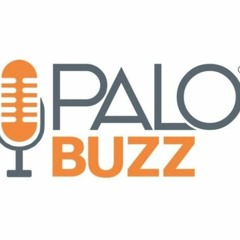 Episode 17 - PALO Buzz VR 360, Facebook Search, Reviews