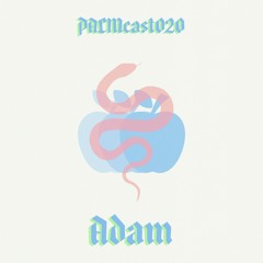 PALMcast020 - Adam