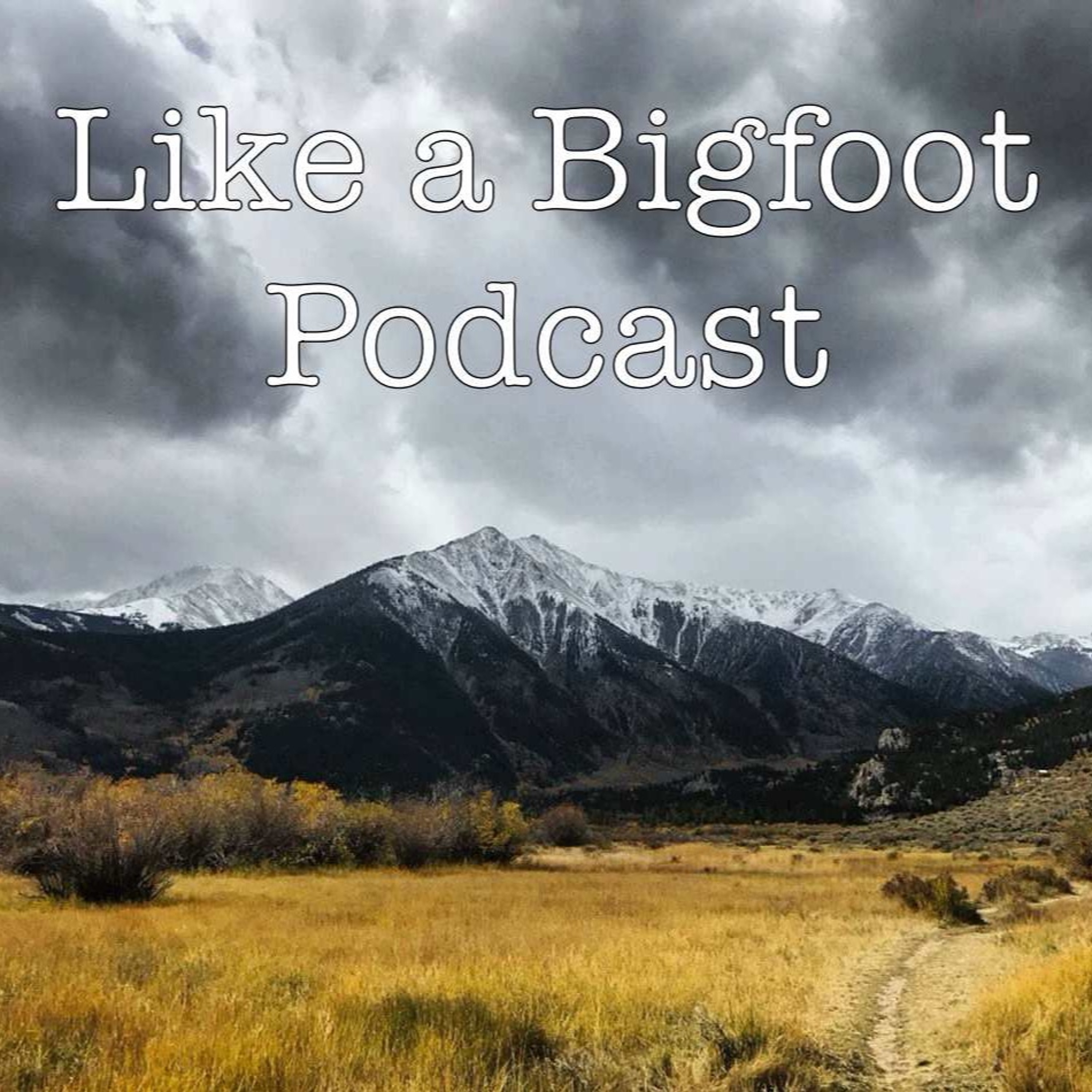Like a Bigfoot