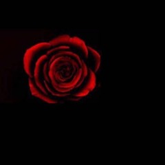 Iggy Da Legend X MT Crowe - Too Much