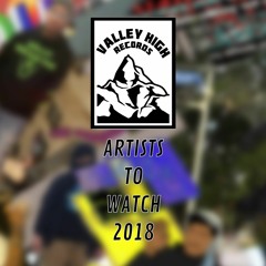 VHR: Artists To Watch