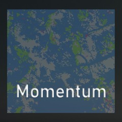 Momentum