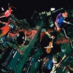 Embryo (extended demo version)