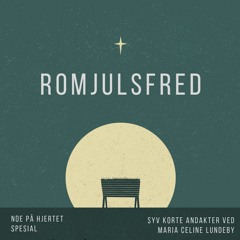 Romjulsfred #7 - Godt, trygt nytt år