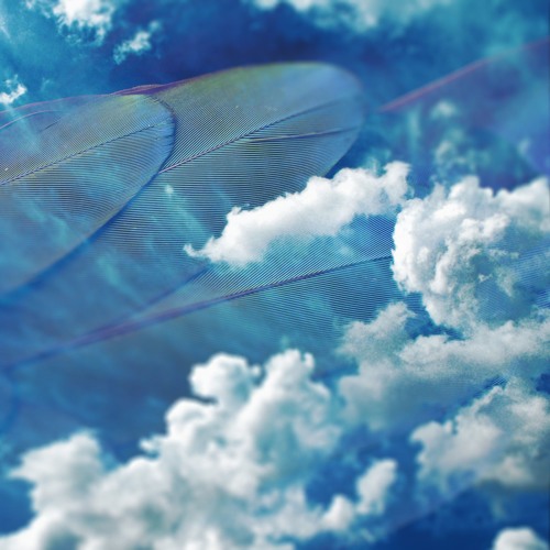Giant Wings (Free Download)