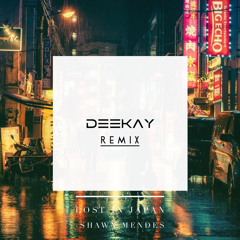 Shawn Mendes - Lost in Japan (DEEKAY Remix)