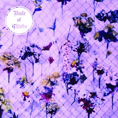 Rule Of Thirds - Fingerprints