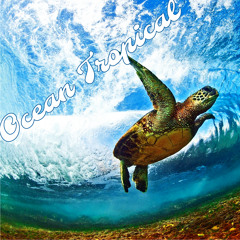 Krajewski - Ocean Tropical - Deep Tropic House Set