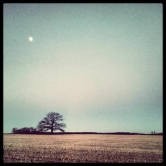 McPre - Aassen-Gaare- Me Derre'