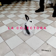Te Gusté (Bad Bunny + J.Lo - La Colectora Remix)