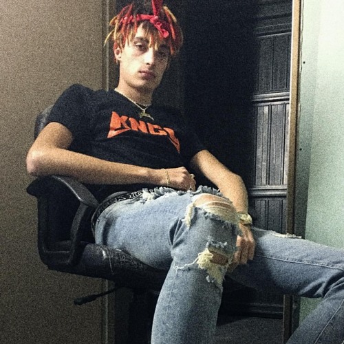 DREFGOLD - POLLEGGIATO(SOLO DREF)