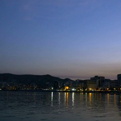 Toyboy  Robin - Motions