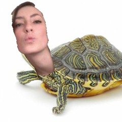 Demolition Lovers-My Chemical Romance cover