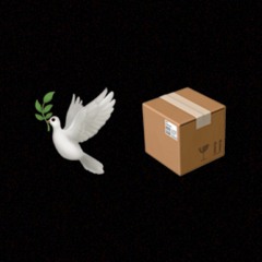 bird box (feat. Swank) [prod. SuecoTheChild]