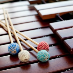 Nocturne In Eb Major - Frederic Chopin - Arranged For Marimba