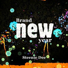 New Year Song - Steenie Dee