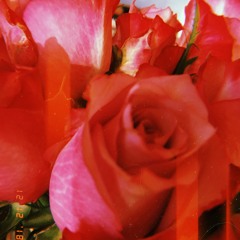 Sunflower-Ukulele Live (cover)