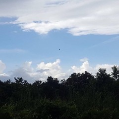 Rain Jam (Again And Again)