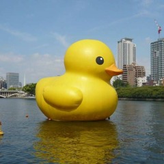 Great Bubbers Of Ducky (Read Desc.)