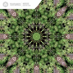 Textures Vol​.​1 - Ebb and Flow - Mixed by Kalya Scintilla