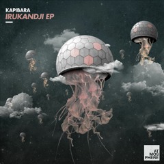 PREMIERE: Kapibara - Irukandji (Original Mix) [Atmosphere Records]