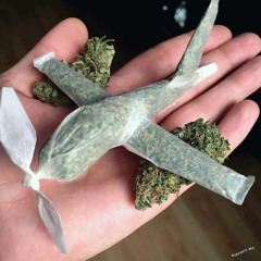 Motyl Lanugo JazzDock 2018