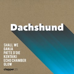 Dachshund - Patte d'Oie (original mix) (promo cut)- Clapper
