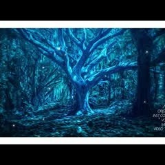 月光浴 (柴田淳) ／ダズビー COVER