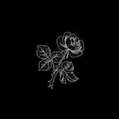 Ｔｉｎｈ Ｄａｎｇ Ｎｈｕ Ｌｙ Ｃａ Ｐｈｅ - Nân X Ngơ