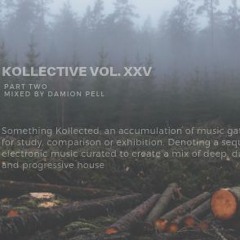 Damion Pell Kollective Vol XXV Part Two