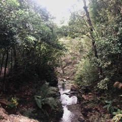 tribe vibe - secret place