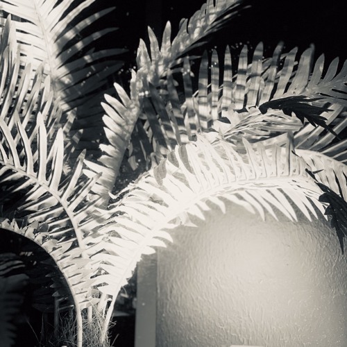 Cooper dreams of Bahia @ Palmen/Othilia, Grand Hotel