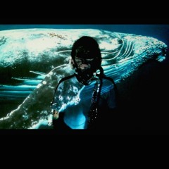 Le rêve des baleines mortes(From the album"Dysphoria")