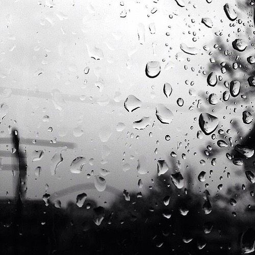 B. O. O. M. - Everrain