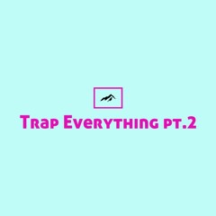 Trap Everyting pt. 2