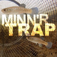 Minn'r Trap