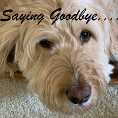 Saying Goodbye