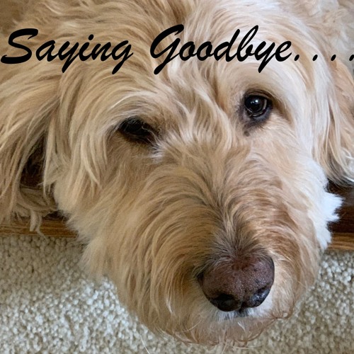Saying Goodbye